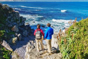 Whale Watching - Discovering Africa