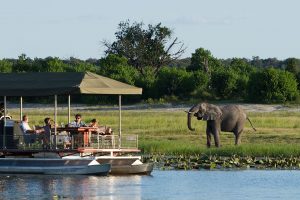 Botswana - Chobe Safari
