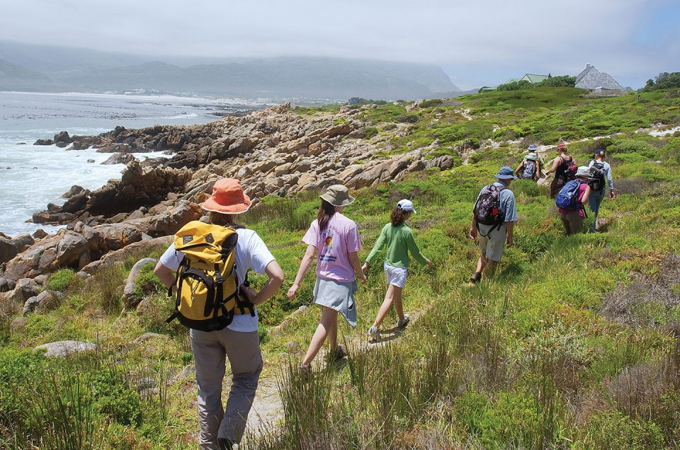 Hiking Table Mountain National Park