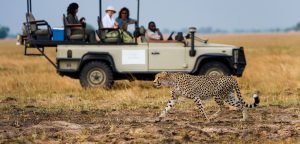 Zambia - Discovering Africa
