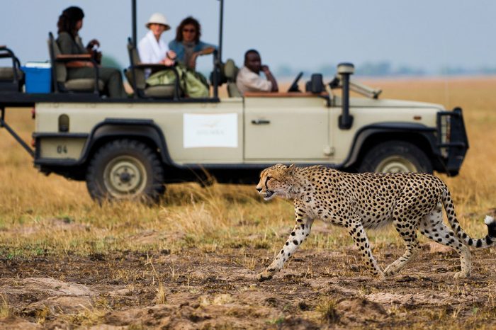 Victoria Falls, Botswana & Zambia Safari