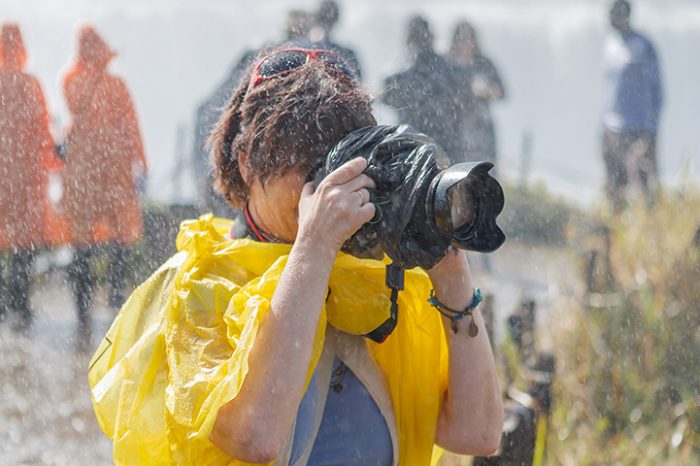 Tour of the Falls
