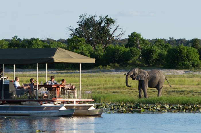 Full Day Chobe Tour