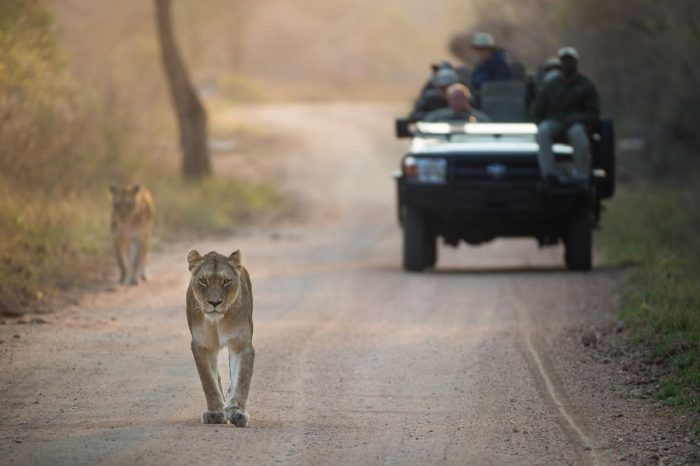 Spectacular South Africa