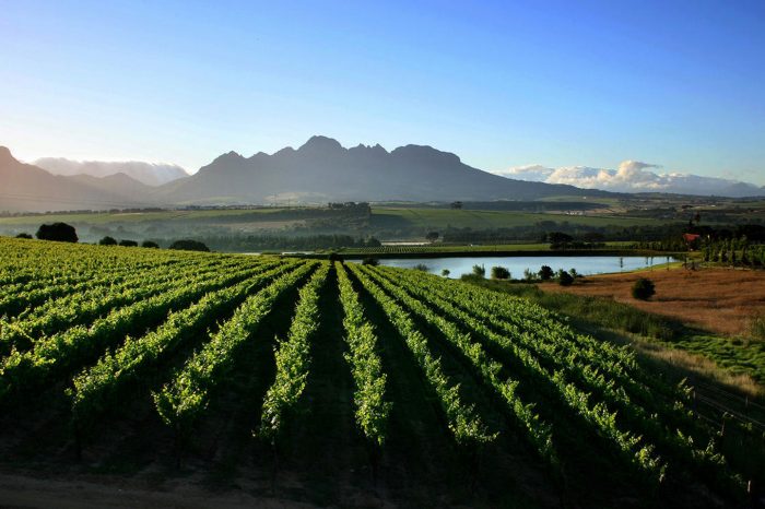 Wine and History Exploration
