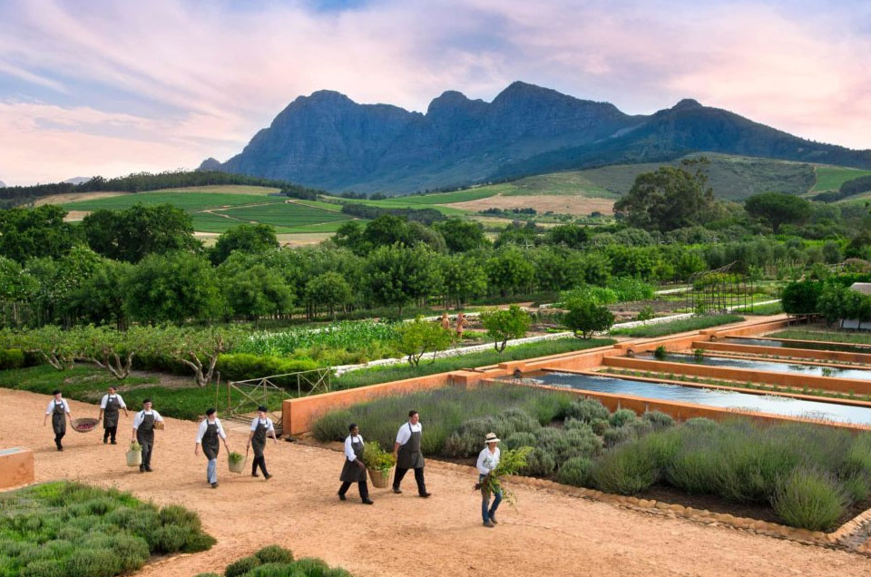 Babylonstoren - Discovering Africa