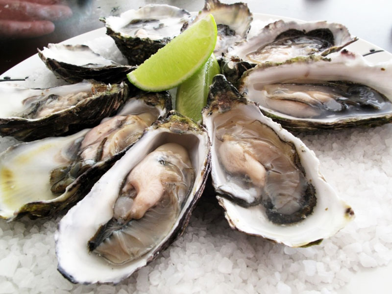 Garden Route - Oysters - Discovering Africa